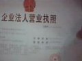 蚂蚁地方门户系统